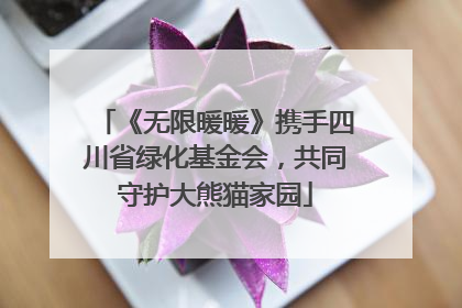 《无限暖暖》携手四川省绿化基金会，共同守护大熊猫家园