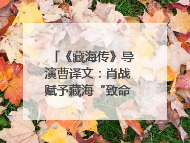 《藏海传》导演曹译文：肖战赋予藏海“致命”吸引力