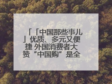 「中国那些事儿」优质、多元又便捷 外国消费者大赞“中国购”是全新体验！
