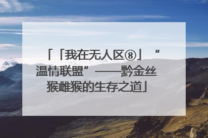 「我在无人区⑧」“温情联盟”——黔金丝猴雌猴的生存之道
