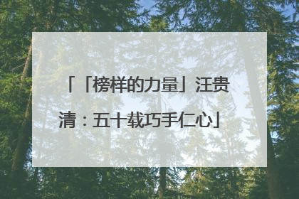 「榜样的力量」汪贵清：五十载巧手仁心