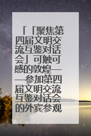 「聚焦第四届文明交流互鉴对话会」可触可感的敦煌——参加第四届文明交流互鉴对话会的外宾参观上元市集
