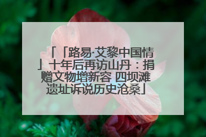 「路易·艾黎中国情」十年后再访山丹：捐赠文物增新容 四坝滩遗址诉说历史沧桑