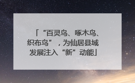 “百灵鸟、啄木鸟、织布鸟”，为仙居县域发展注入“新”动能