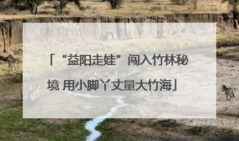 “益阳走娃”闯入竹林秘境 用小脚丫丈量大竹海