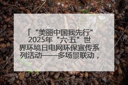 “美丽中国我先行” 2025年“六·五”世界环境日电网环保宣传系列活动——多场景联动，共筑生态发展新图景