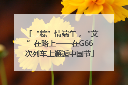 “粽”情端午，“艾”在路上——在G66次列车上邂逅中国节