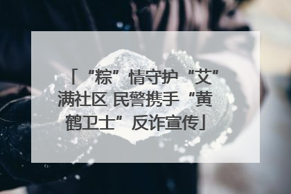 “粽”情守护“艾”满社区 民警携手“黄鹤卫士”反诈宣传