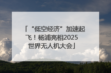 “低空经济”加速起飞！杨浦亮相2025世界无人机大会