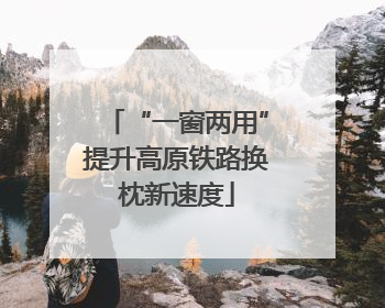 “一窗两用”提升高原铁路换枕新速度