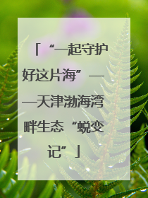 “一起守护好这片海”——天津渤海湾畔生态“蜕变记”