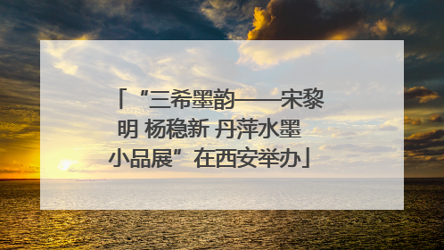 “三希墨韵——宋黎明 杨稳新 丹萍水墨小品展”在西安举办