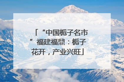 “中国栀子名市”福建福鼎：栀子花开，产业兴旺