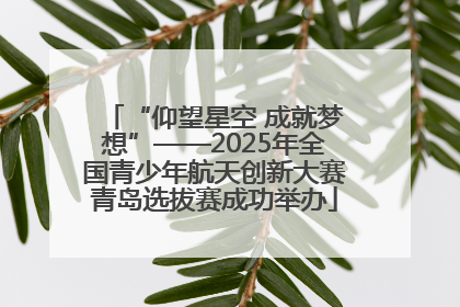 “仰望星空 成就梦想”——2025年全国青少年航天创新大赛青岛选拔赛成功举办