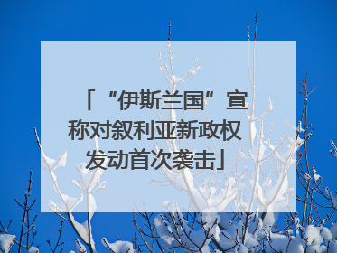 “伊斯兰国”宣称对叙利亚新政权发动首次袭击