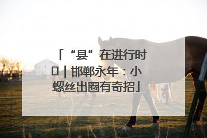 “县”在进行时⑬｜邯郸永年：小螺丝出圈有奇招