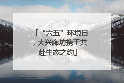 “六五”环境日，大兴廊坊携手共赴生态之约