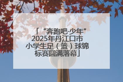 “奔跑吧·少年”2025年丹江口市小学生足（篮）球锦标赛圆满落幕
