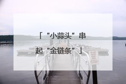 “小蒜头”串起“金链条”