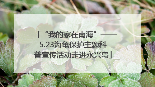 “我的家在南海”——5.23海龟保护主题科普宣传活动走进永兴岛