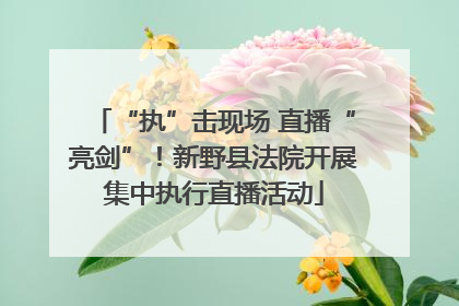 “执”击现场 直播“亮剑”！新野县法院开展集中执行直播活动
