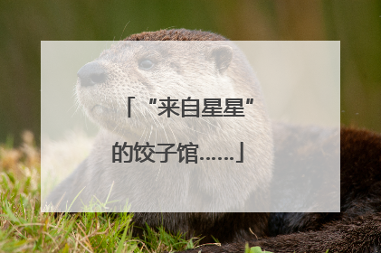 “来自星星”的饺子馆……