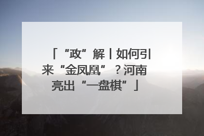 “政”解丨如何引来“金凤凰”？河南亮出“一盘棋”