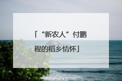 “新农人”付鹏程的稻乡情怀