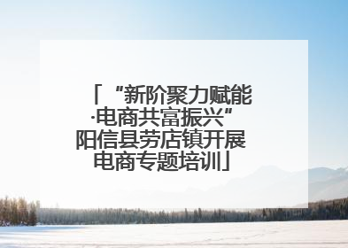 “新阶聚力赋能·电商共富振兴”阳信县劳店镇开展电商专题培训