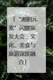 “湘阴元素”闪耀旅发大会：文化、美食与旅游深度融合