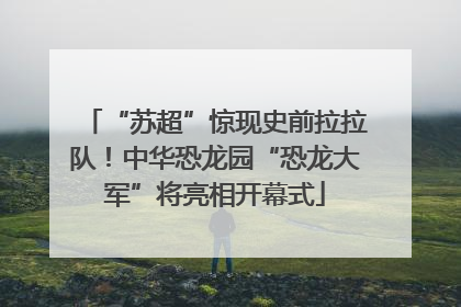 “苏超”惊现史前拉拉队！中华恐龙园“恐龙大军”将亮相开幕式