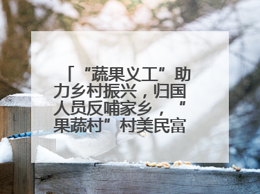 “蔬果义工”助力乡村振兴，归国人员反哺家乡，“果蔬村”村美民富香飘远近