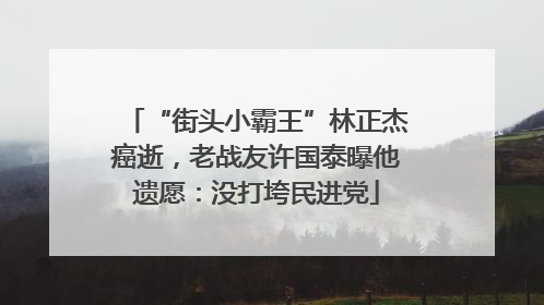 “街头小霸王”林正杰癌逝，老战友许国泰曝他遗愿：没打垮民进党