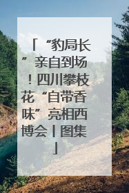 “豹局长”亲自到场！四川攀枝花“自带香味”亮相西博会丨图集