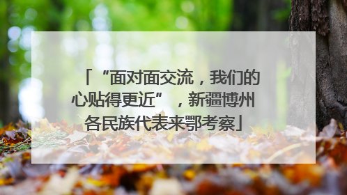 “面对面交流，我们的心贴得更近”，新疆博州各民族代表来鄂考察