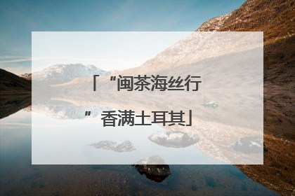 “闽茶海丝行”香满土耳其