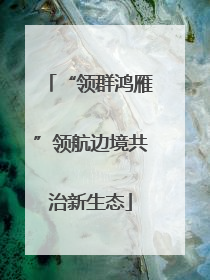 “领群鸿雁”领航边境共治新生态