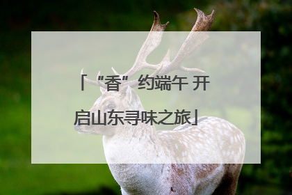“香”约端午 开启山东寻味之旅