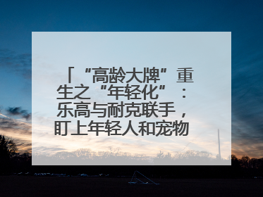 “高龄大牌”重生之“年轻化”：乐高与耐克联手，盯上年轻人和宠物的钱包