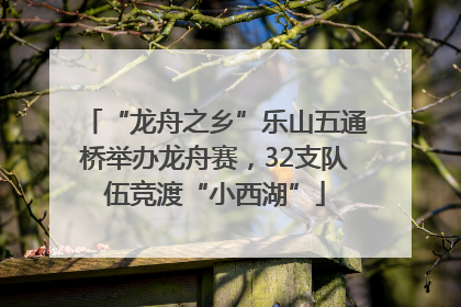 “龙舟之乡”乐山五通桥举办龙舟赛，32支队伍竞渡“小西湖”