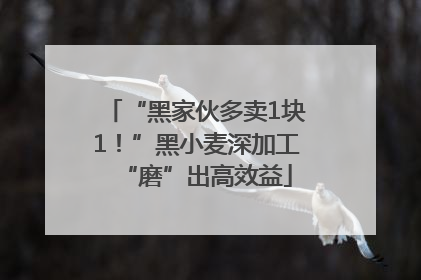 “黑家伙多卖1块1！”黑小麦深加工“磨”出高效益