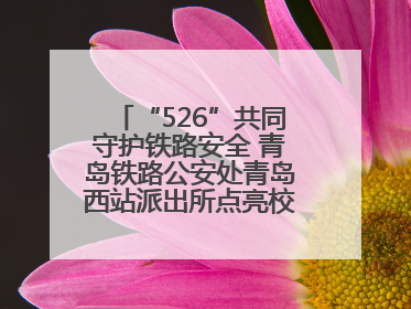 “526”共同守护铁路安全 青岛铁路公安处青岛西站派出所点亮校园爱路之光