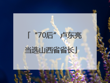 “70后”卢东亮当选山西省省长