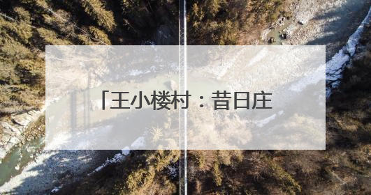 王小楼村：昔日庄稼年年被沙压，今朝粮丰林茂百业兴