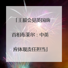 王毅会见英国前首相布莱尔：中英应体现责任担当