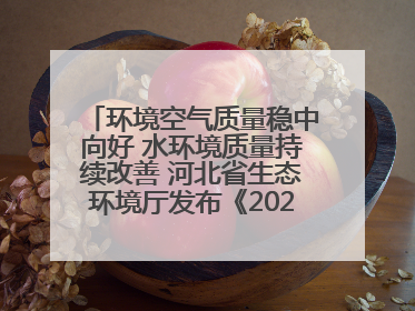 环境空气质量稳中向好 水环境质量持续改善 河北省生态环境厅发布《2024年河北省生态环境状况公报》