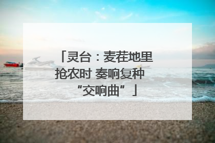 灵台：麦茬地里抢农时 奏响复种“交响曲”