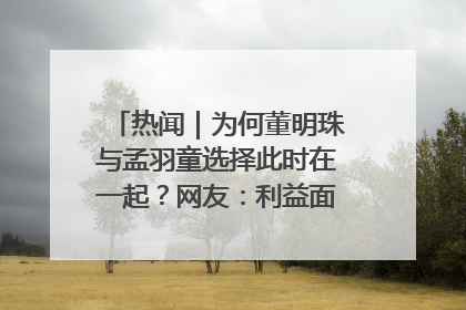 热闻｜为何董明珠与孟羽童选择此时在一起？网友：利益面前啥都能和解