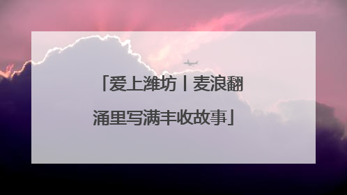 爱上潍坊丨麦浪翻涌里写满丰收故事