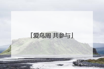 爱鸟周 共参与
